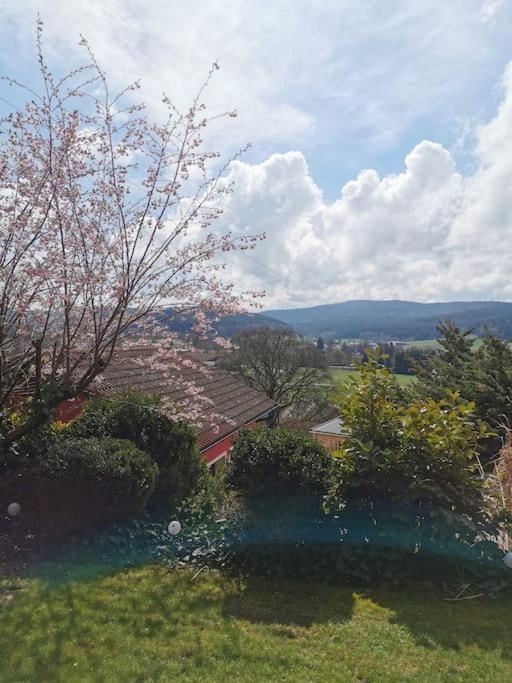 Chalet Bambi Blaibach Zewnętrze zdjęcie