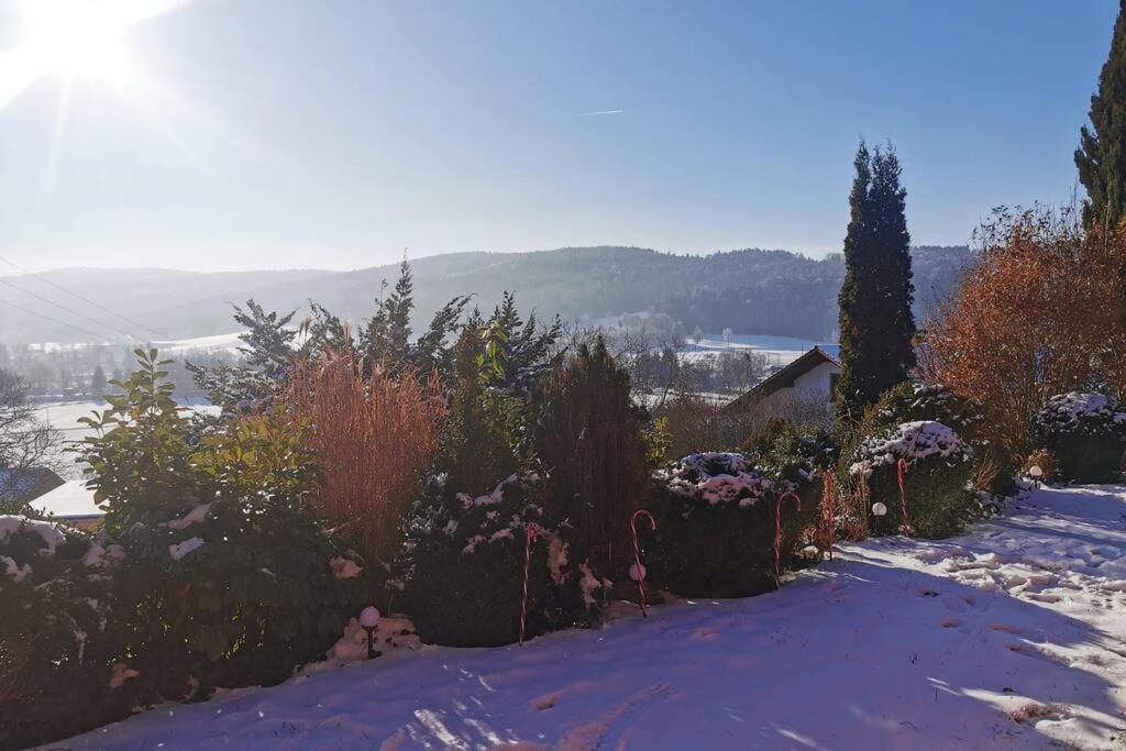 Chalet Bambi Blaibach Zewnętrze zdjęcie